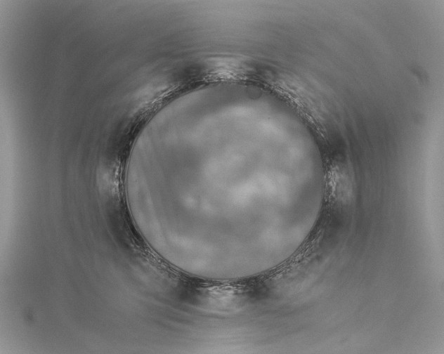 X0000115510423200911201642