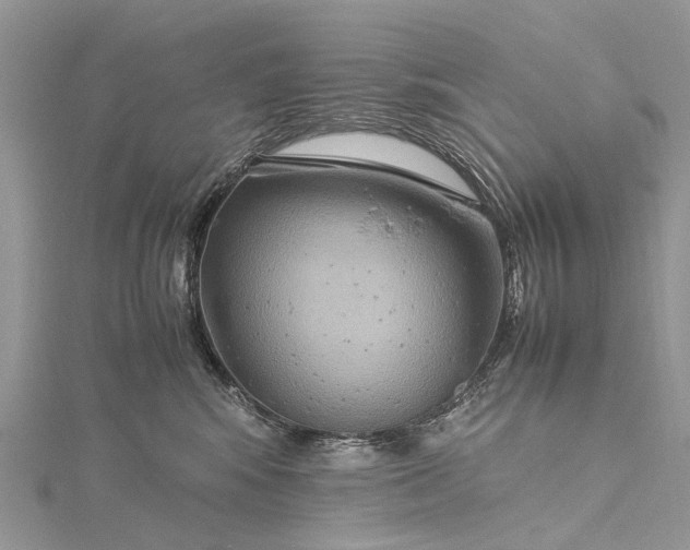 X0000115510424200911201642