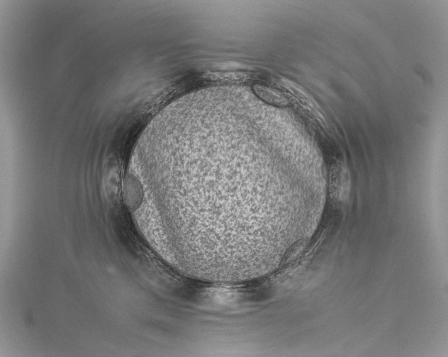 X0000115510425200911201642