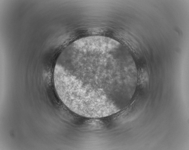 X0000115510427200911201642