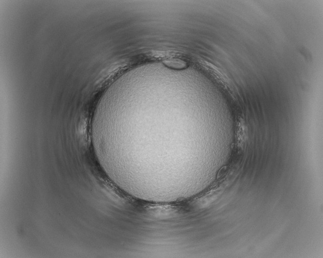 X0000115510428200911201642