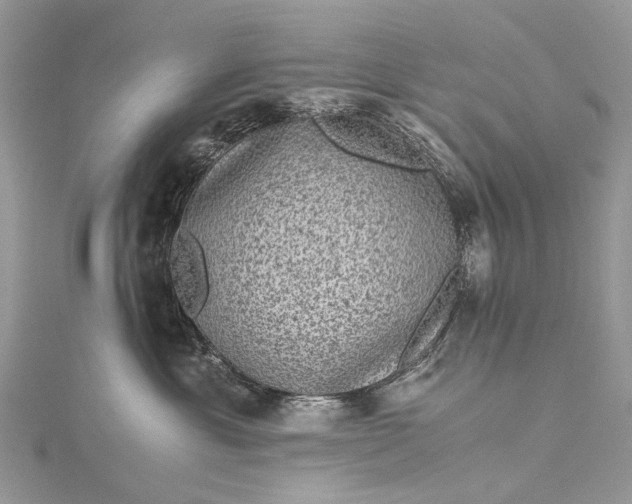 X0000115510429200911201642