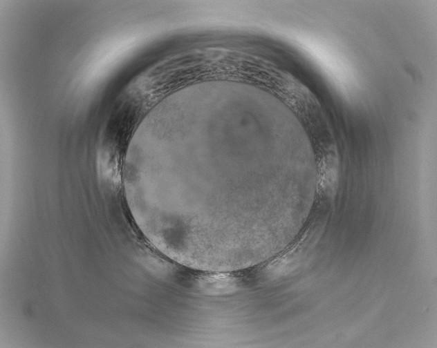 X0000115510431200911201642