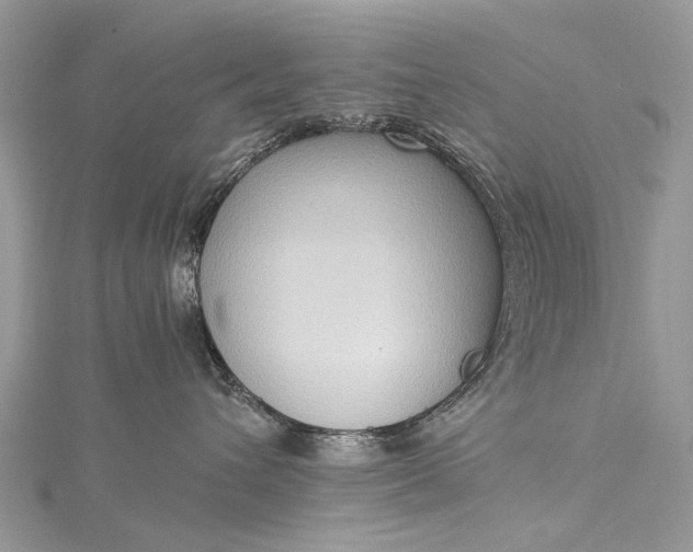 X0000115510432200911201642