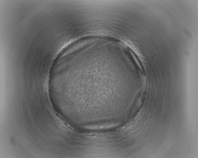 X0000115510434200911201642