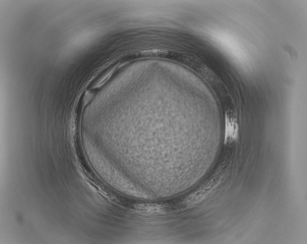 X0000115510435200911201642