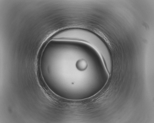 X0000115510436200911201642