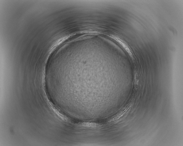 X0000115510437200911201642