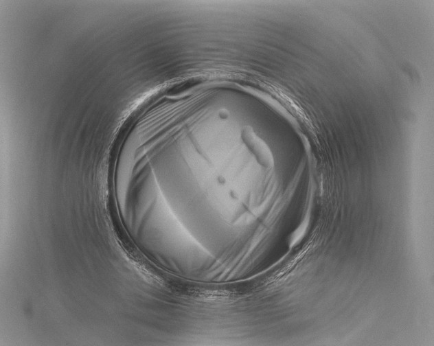 X0000115510438200911201642