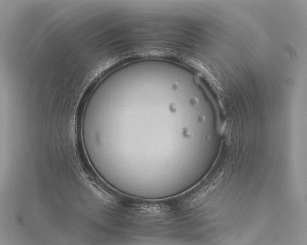 X0000115510439200911201642