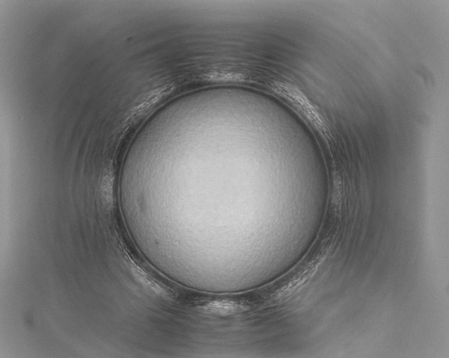 X0000115510441200911201642