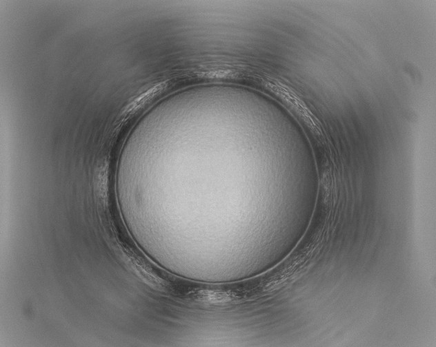 X0000115510442200911201642