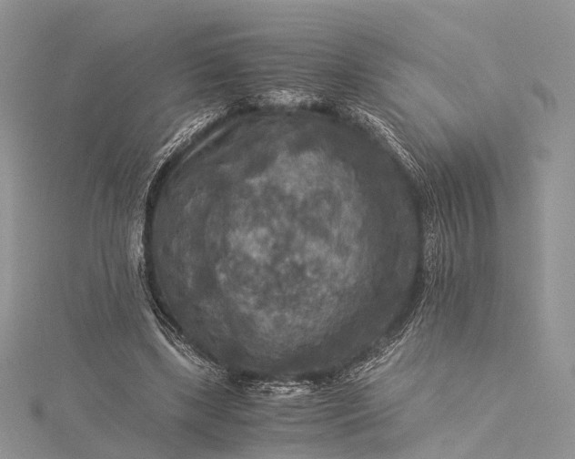 X0000115510443200911201642