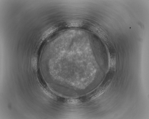 X0000115510444200911201642