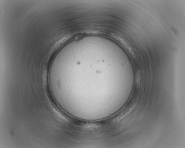 X0000115510445200911201642