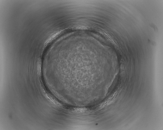 X0000115510446200911201642