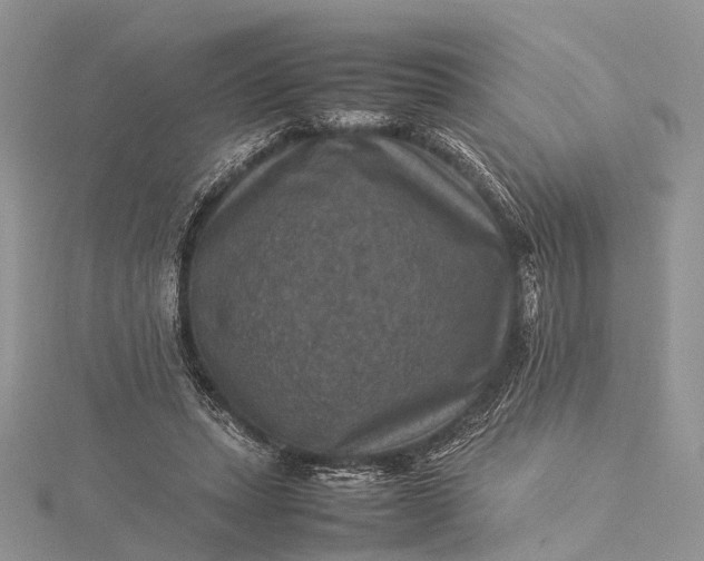 X0000115510447200911201642