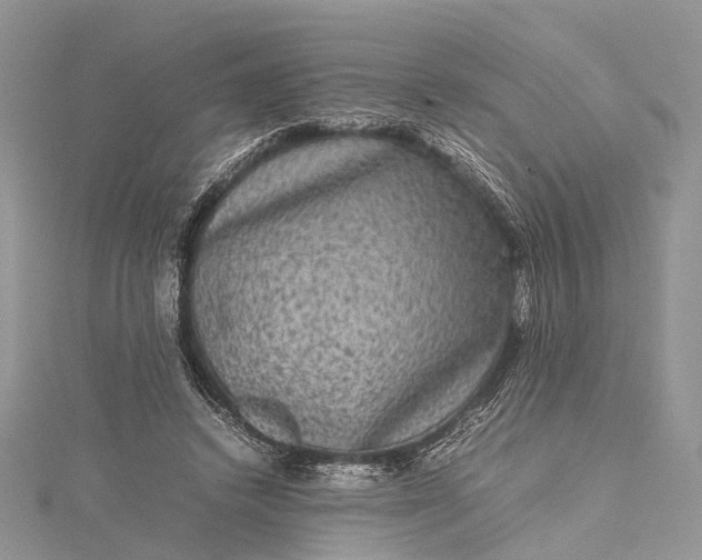 X0000115510448200911201642