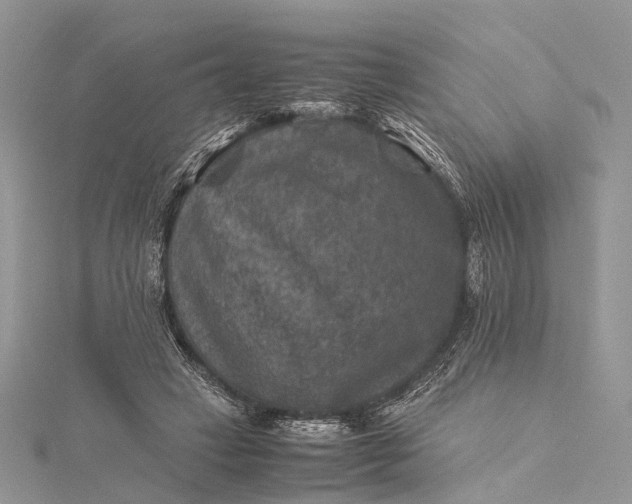 X0000115510449200911201642