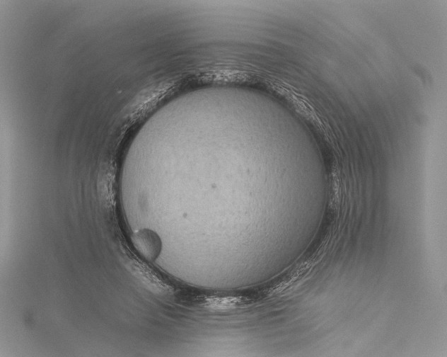 X0000115510450200911201642