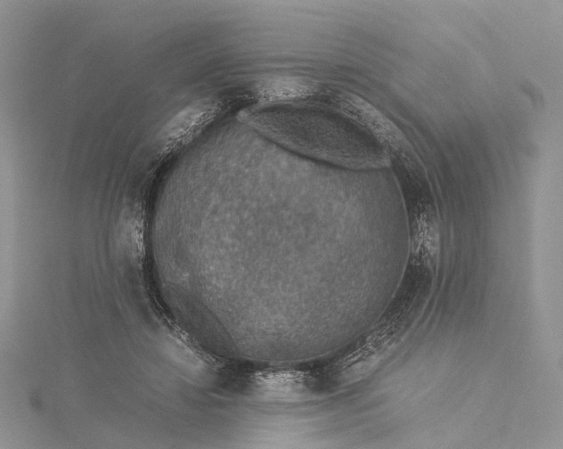 X0000115510452200911201642