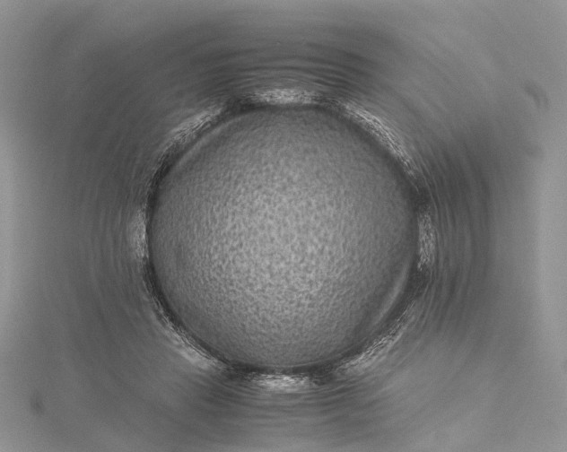 X0000115510453200911201642