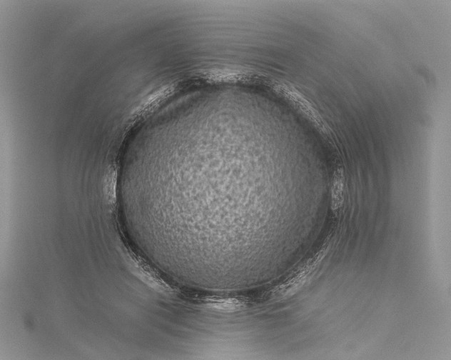 X0000115510454200911201642