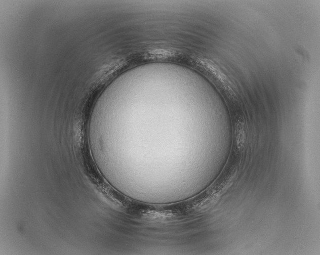 X0000115510455200911201642