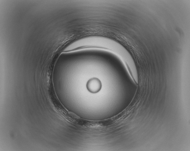 X0000115510456200911201642