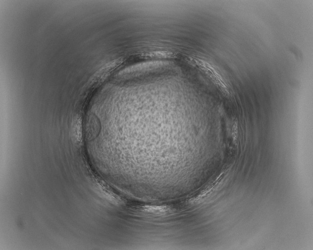 X0000115510457200911201642