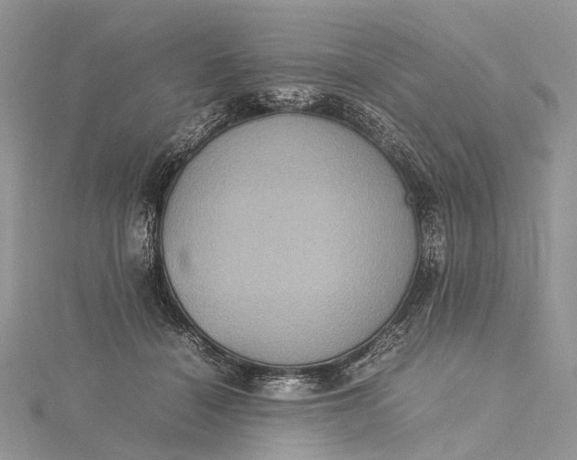 X0000115510460200911201642