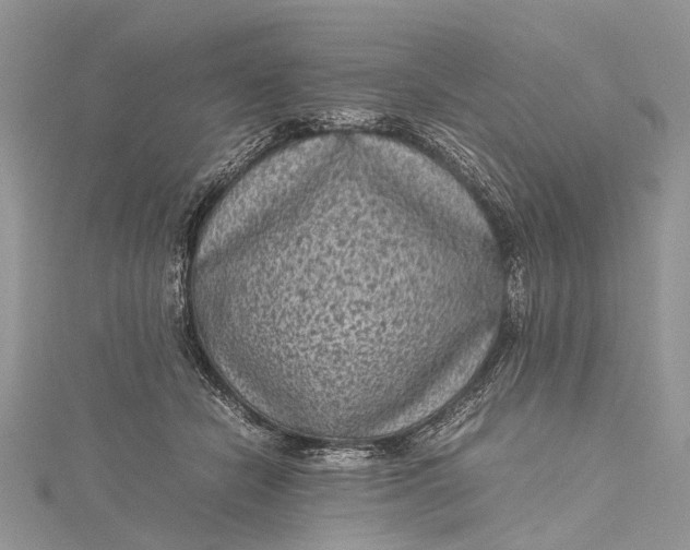 X0000115510462200911201642