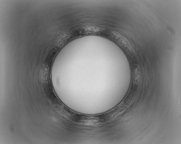 X0000115510463200911201642