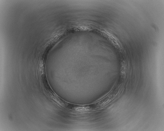 X0000115510465200911201642