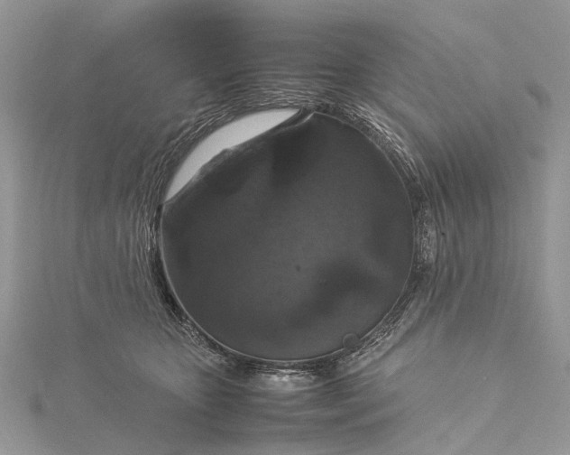 X0000115510467200911201642