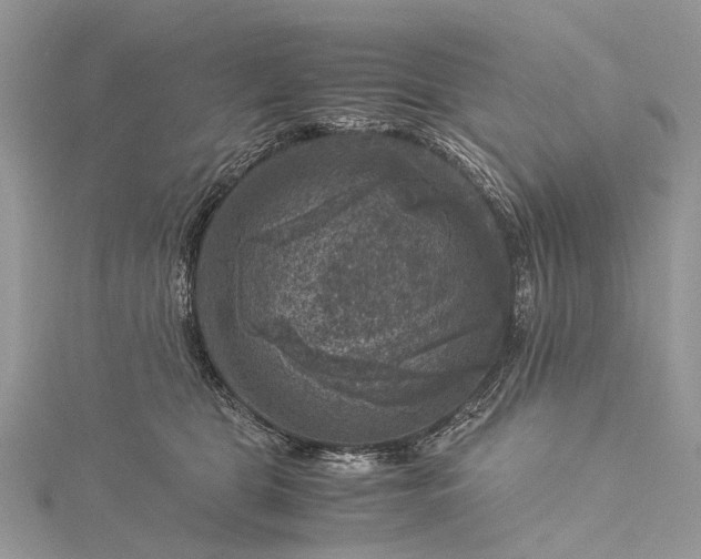 X0000115510469200911201642