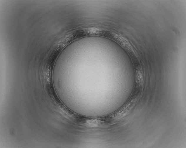 X0000115510470200911201642