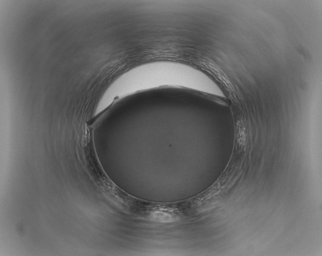 X0000115510471200911201642