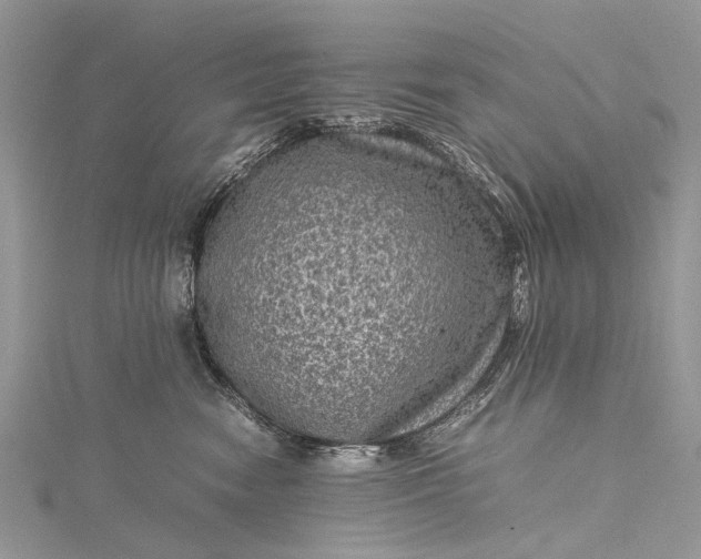 X0000115510474200911201642