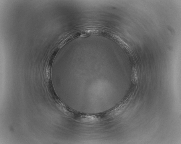 X0000115510475200911201642