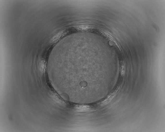 X0000115510476200911201642