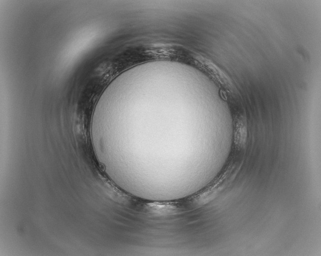 X0000115510477200911201642