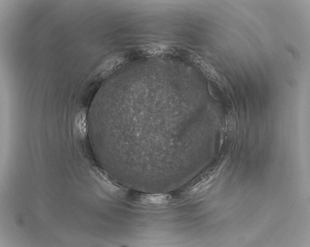 X0000115510479200911201642