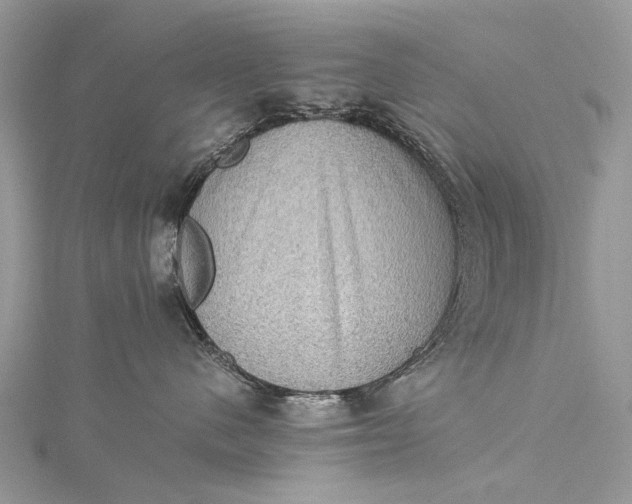 X0000115510480200911201642