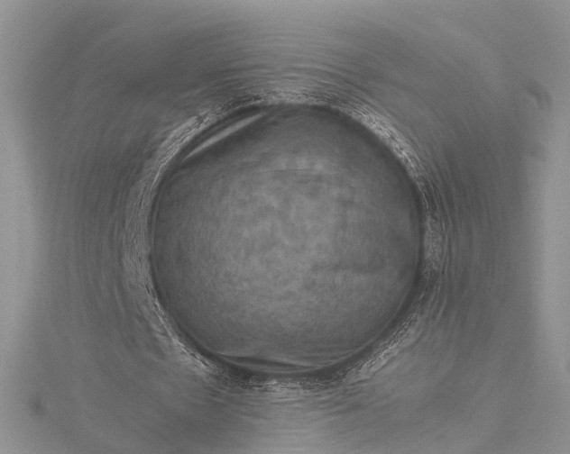 X0000115510481200911201642