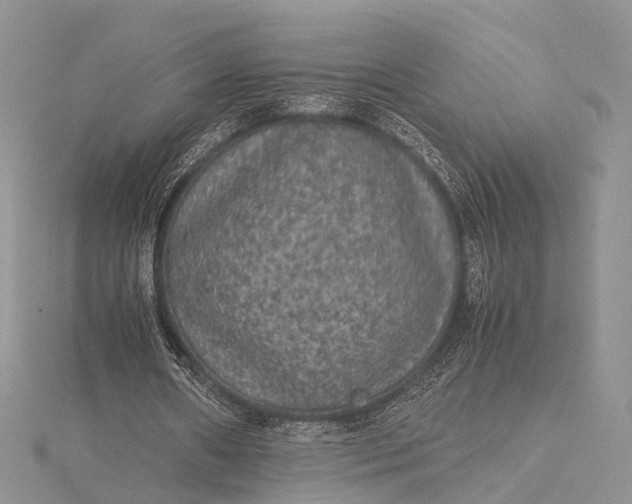 X0000115510482200911201642