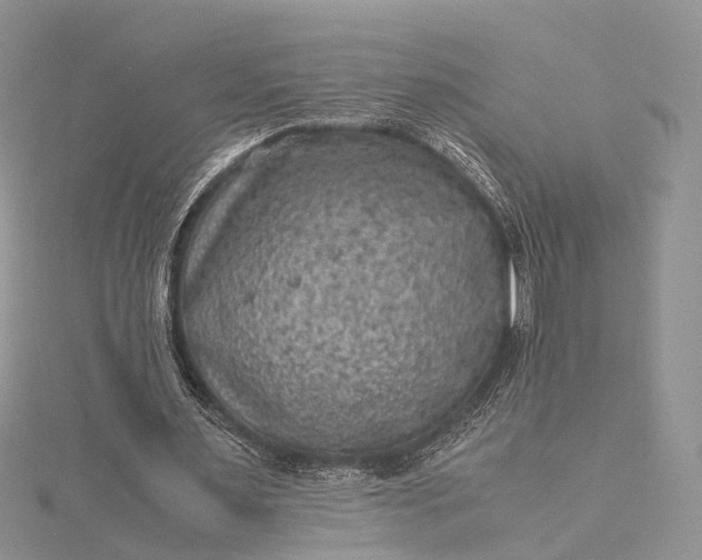 X0000115510483200911201642