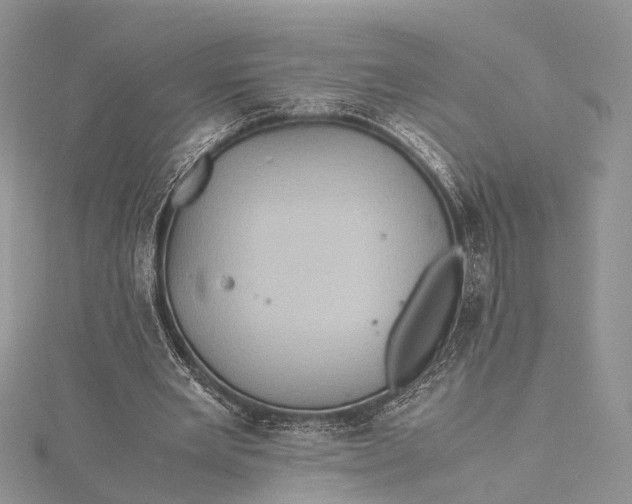 X0000115510485200911201642