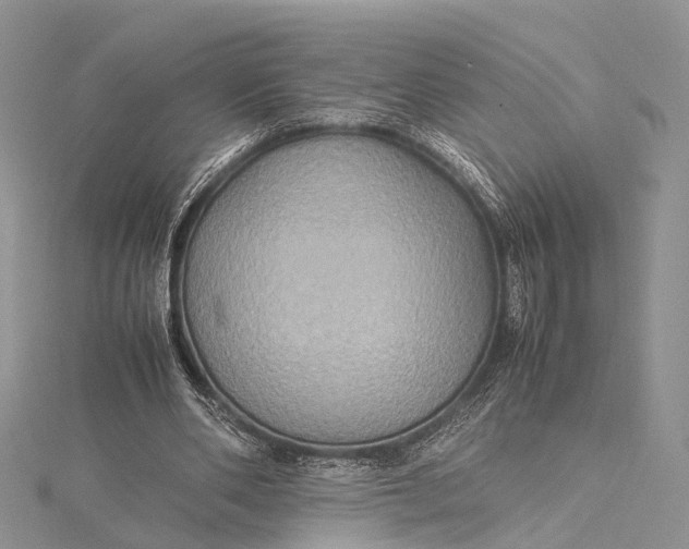 X0000115510486200911201642