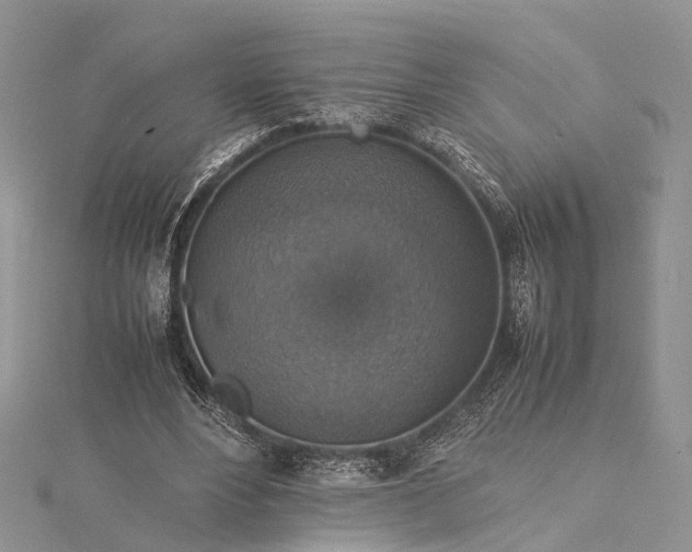 X0000115510488200911201642